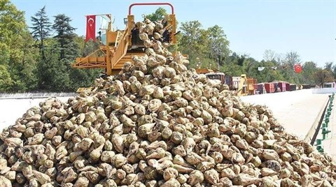 Bugün Üç Şeker Fabrikası Daha İhaleye Çıkıyor