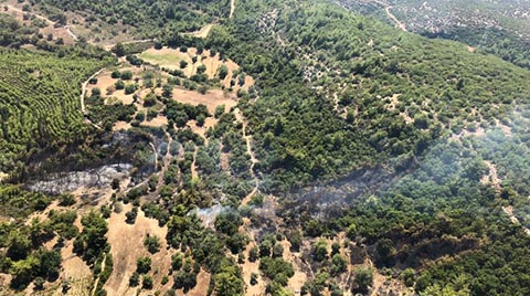 Antalya'da Çıkan Orman Yangınında Büyük Zarar