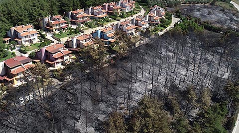 Mudanya'daki Villaların Çevresine Yangına Dayanıklı Çamlar