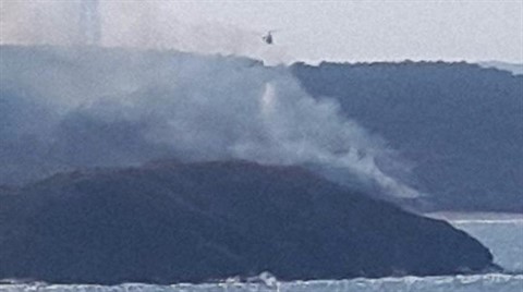 Beykoz'da Korkutan Orman Yangını