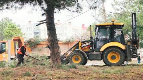 Samsun’da Ağaç Kesimine Tepki