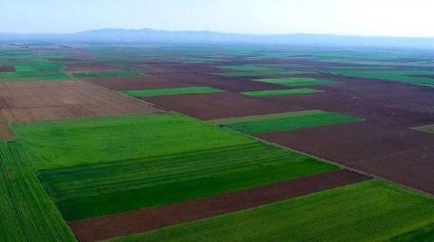 Lületaşının Korkulu Rüyası 6’ıncı Kez Ertelendi