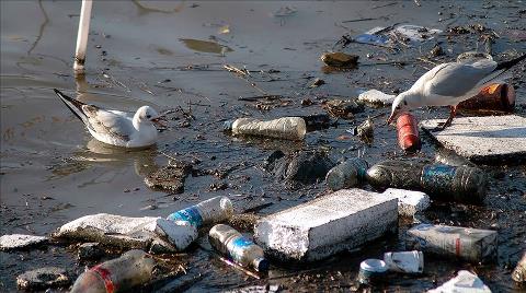 AP Tek Kullanımlık Plastik Ürünleri Yasakladı