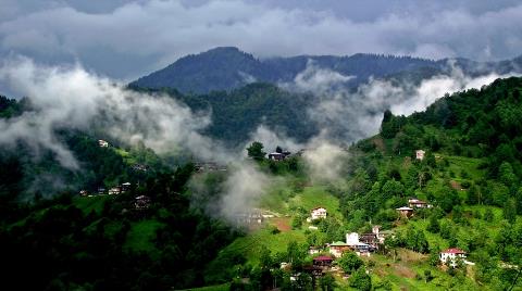 Rize'de Yurttaştan Ruhsat Tepkisi