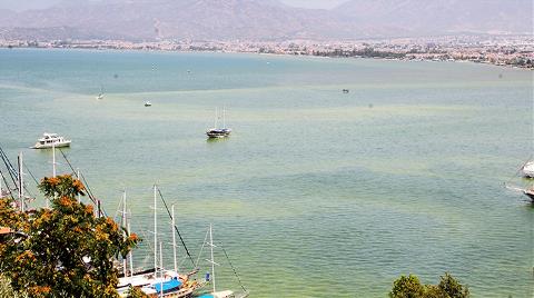 Fethiye’de Denizin Rengi Sarıya Döndü