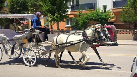 Atlı Fayton Sadece ‘Sembolik’ Olacak