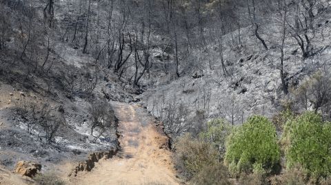 Doğa Derneği: "Çıra Eken Yangın Biçer"