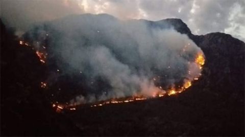 Kahramanmaraş'ta Orman Yangını