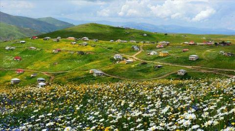 Barma Yaylası, “Kesin Korunacak Hassas Alan” İlan Edildi