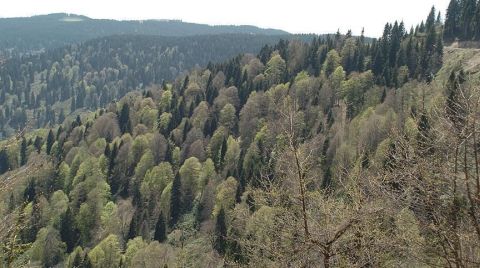 Erozyonla Taşınan Toprak Miktarı Yüzde 70 Azaldı