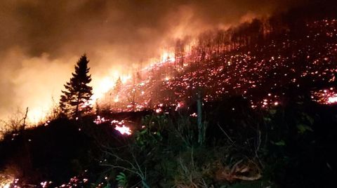 Karadeniz'de Alevler Söndü, Zarar Ortaya Çıktı