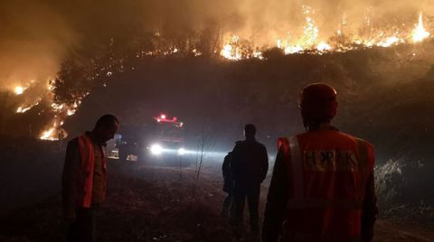 Artvin'de Orman Yangınında 10 Dönüm Alan Zarar Gördü