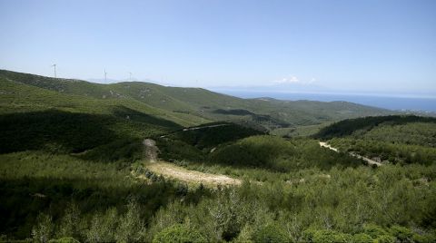 Yangınla Kararan Bülbüldağı Eski Günlerine Döndü