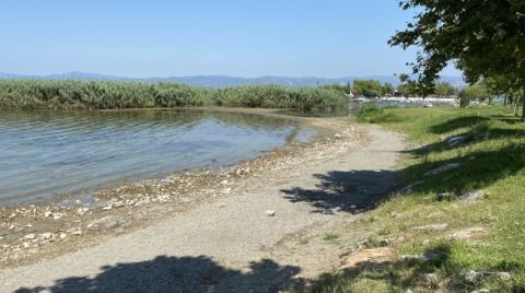 İznik Gölü'nde Korkutan Görüntü