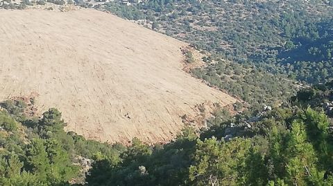 Karaburun'da GES için Ağaç Kesilmesine Tepki