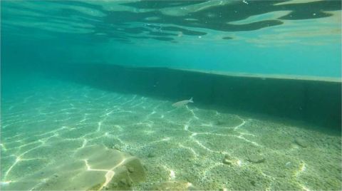 Muğla'da Deniz Dibine Yapılan Duvarlar Kaldırılıyor