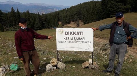 Artvin’de Ağaç Kesimine Tepki