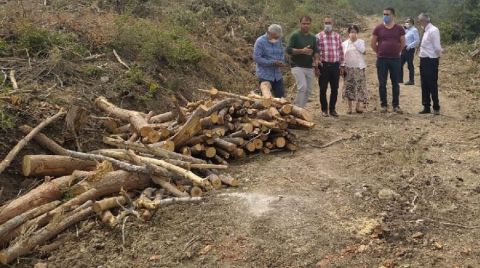 Mersin’de ‘Gençleştirme’ Adı Altında Ağaç Kesimi Yapılıyor