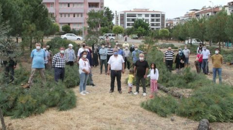 Denizli’de Ağaç Nöbeti