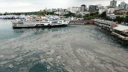 Marmara'dan Sonra Tehlike Karadeniz'de