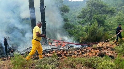 Muğla’da 12 Günde 48 Orman Yangını Çıktı