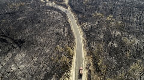 Yangınlarından Etkilenen Alanlar 'Afet Bölgesi' İlan Edildi
