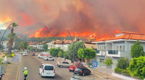 Muğla'da 66 Bin Hektar Orman Yandı