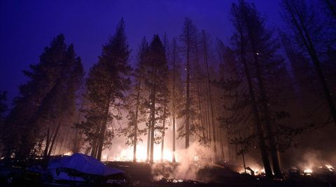 California'da Yanan Orman Alanı 200 Bin Hektara Yaklaştı