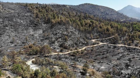 Afet Bölgeleri için Acele Kamulaştırma Kararı