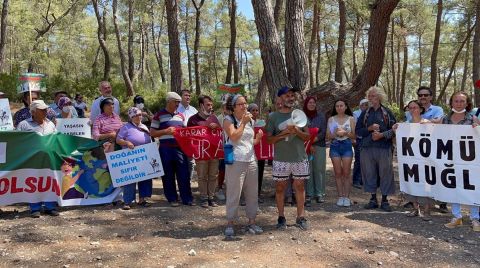 Akbelen Ormanlarına Mahkeme Kararına Rağmen İş Makineleri Girdi