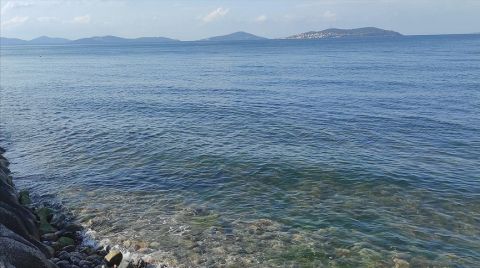 Marmara Denizi'nde Yeni Tehlike 'Oksijen Azlığı'