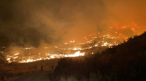 Muğla'da Orman Yangını