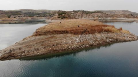 Baraj Suları Çekilince 4 Bin Yıllık Höyük Ortaya Çıktı