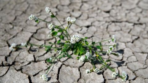 UNDP, Türkiye’nin 2053 Yılına Kadar Net Sıfır Rotası Çizmesine Destek Veriyor