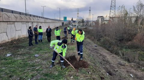 Otoban Gürültüsüne 5 Bin Fidanlık Önlem 