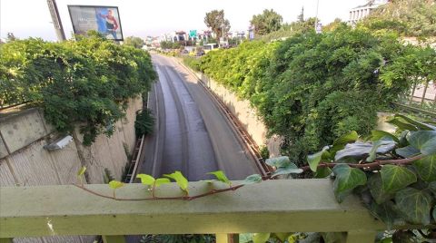 Dikey Bahçelerin Sökümü Devam Ediyor