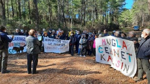 Onlarca Ağacın Kesildiği Çevre Yolunun İzni Yokmuş