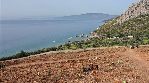 Yanan Ormanlarda Yenileme Çalışmaları Yıl Sonuna Kadar Tamamlanacak