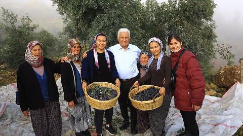 Zeytinlikleri Hedefleyen Yönetmeliğe Bir Dava da Muğla’dan