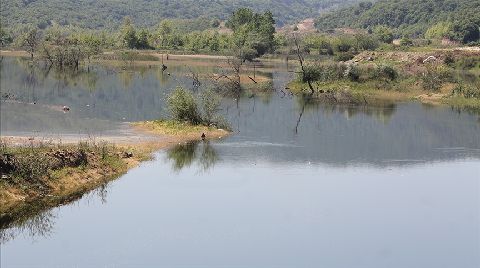 Türkiye'deki Sulak Alanları Koruma Seferberliği