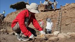 Gre Fılla Höyüğü'nde 2 Bin 687 Eser Gün Yüzüne Çıkarıldı