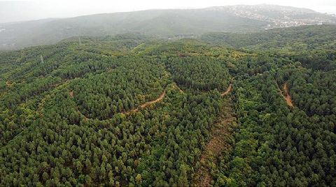 11 İlde Bazı Alanlar Orman Sınırları Dışına Çıkartıldı