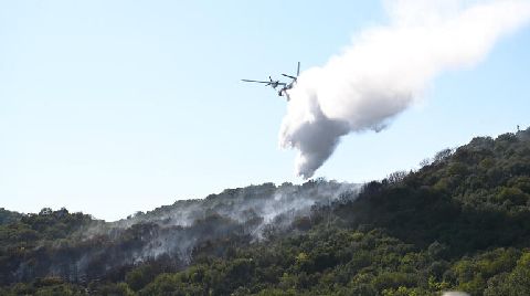 Antalya'daki Orman Yangınında 15 Hektar Zarar Gördü