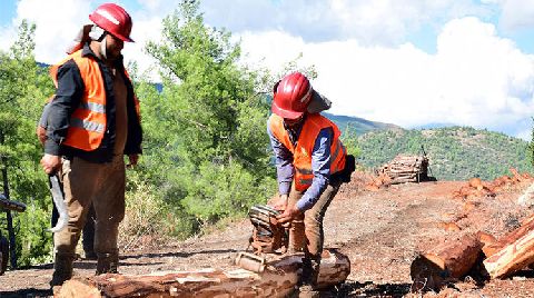 Hatay Ormanlarında, 'Gevşetme Zonu' Uygulaması