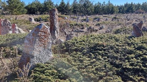 Çorum'da Toplu Türk Mezarlığı ve Kurganlar Bulundu