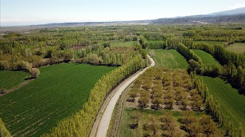 Hazine'ye Ait 2/B ve Tarım Arazileri Satışında Başvurular 31 Aralık'ta Sona Erecek