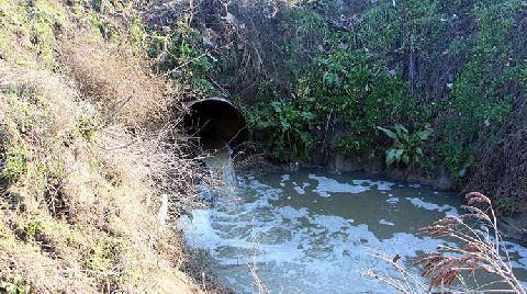 Edirne'nin Kanalizasyon Suları, Tunca Nehri'ne Akıyor