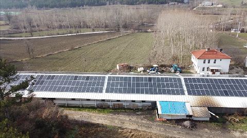 Bolu'da Tavuk Üreticileri Elektrik İhtiyacını Güneşten Karşılıyor