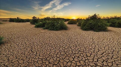 İklim Krizi ve Yok Olan Habitatlar Biyoçeşitlilik Kaybını Artırıyor