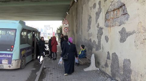 Betonunda Midye Kabukları Olan Köprü Tedirgin Etti